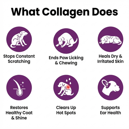 Dogly Premium Collagen Drops