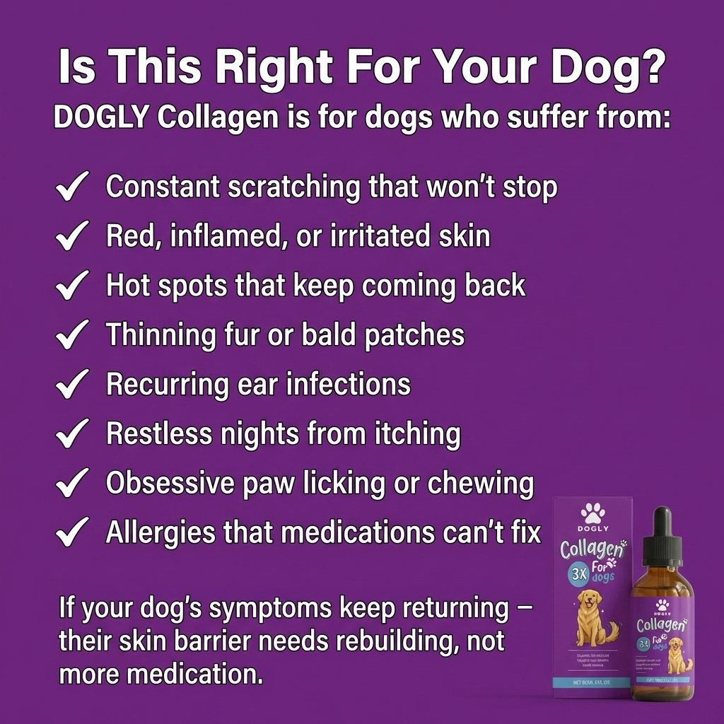 Dogly Premium Collagen Drops