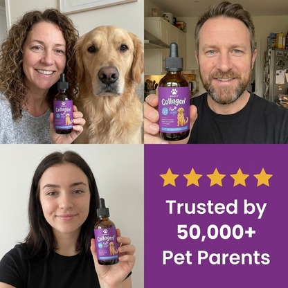 Dogly Premium Collagen Drops